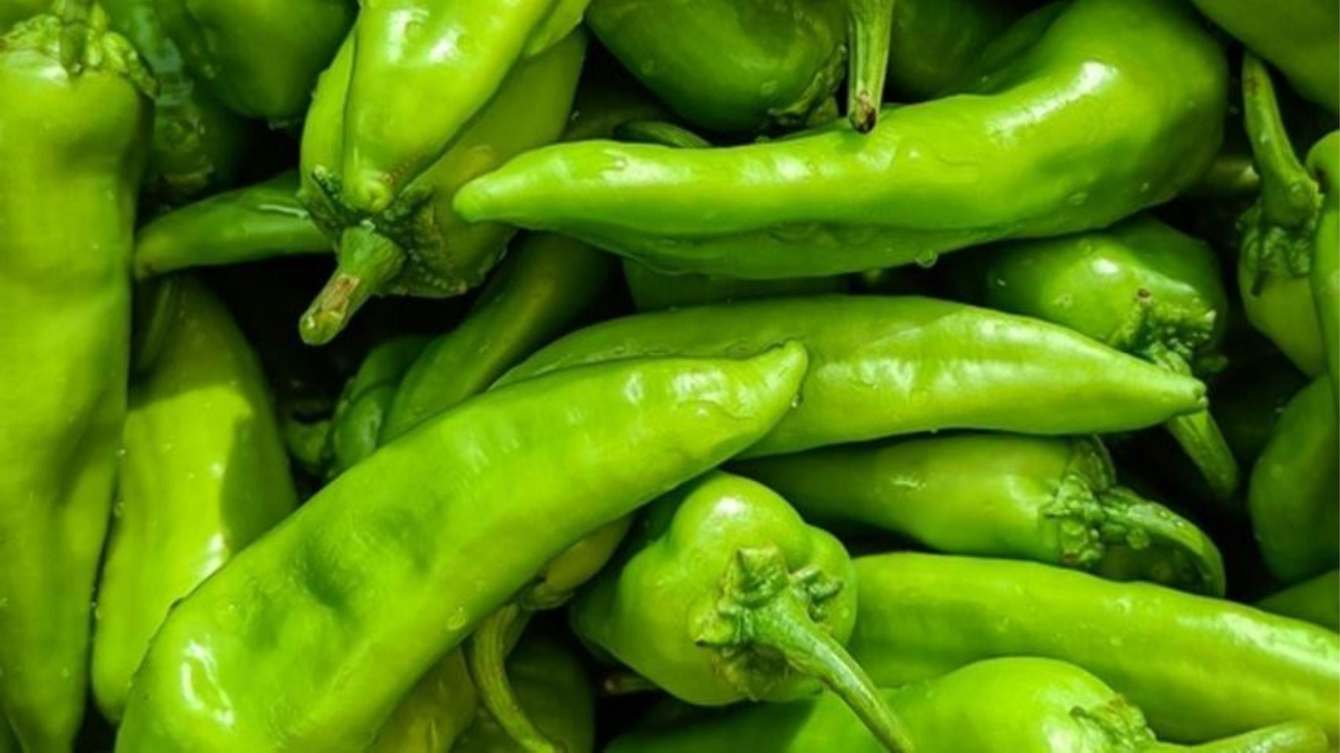 Green Chilli